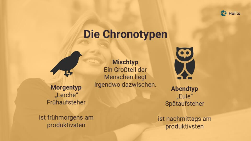 Die Chronotypen